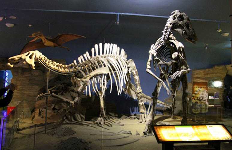 仿真恐龙化石——恐龙生活场景